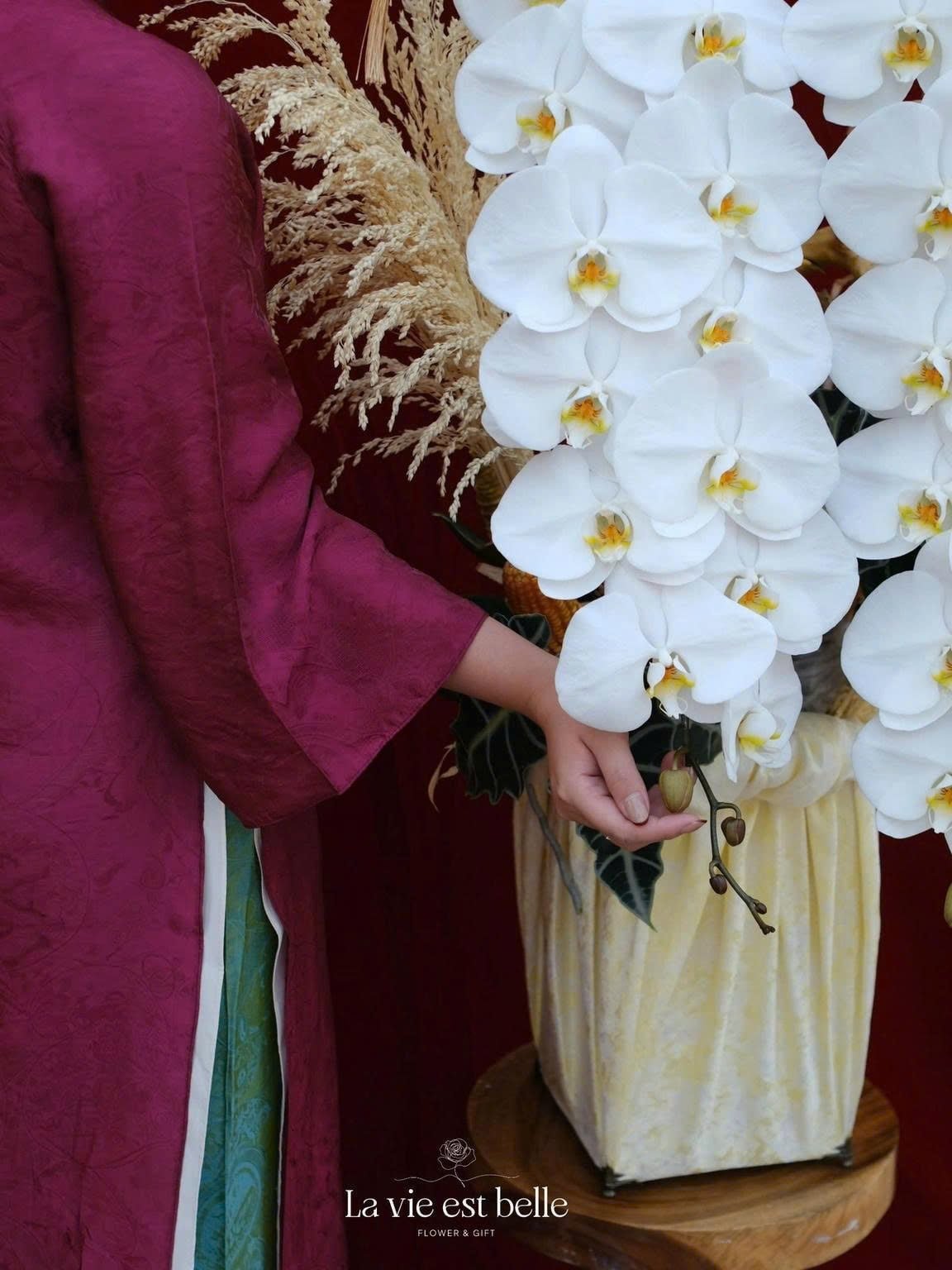 Ngự Quang