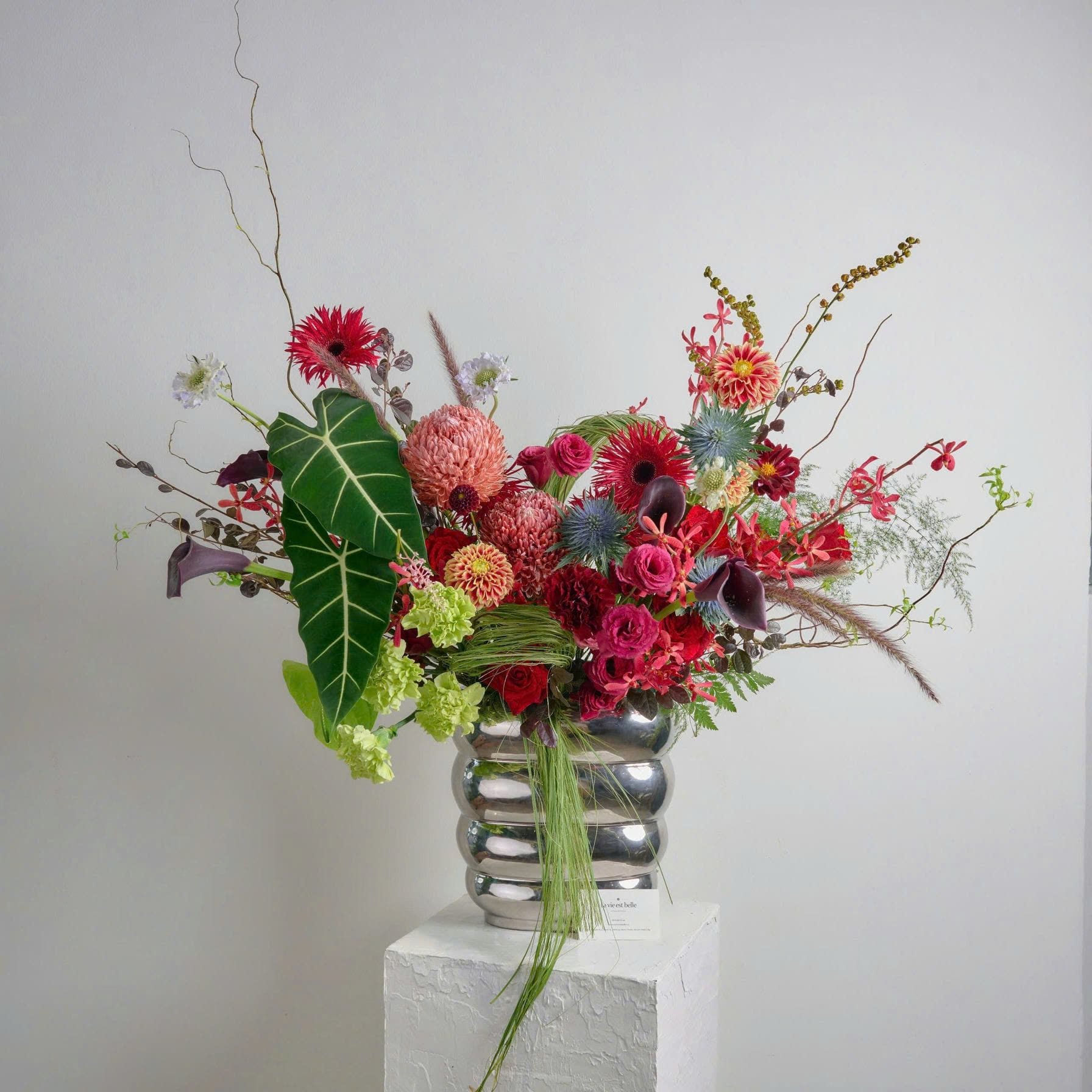 Botanical Dreamscape