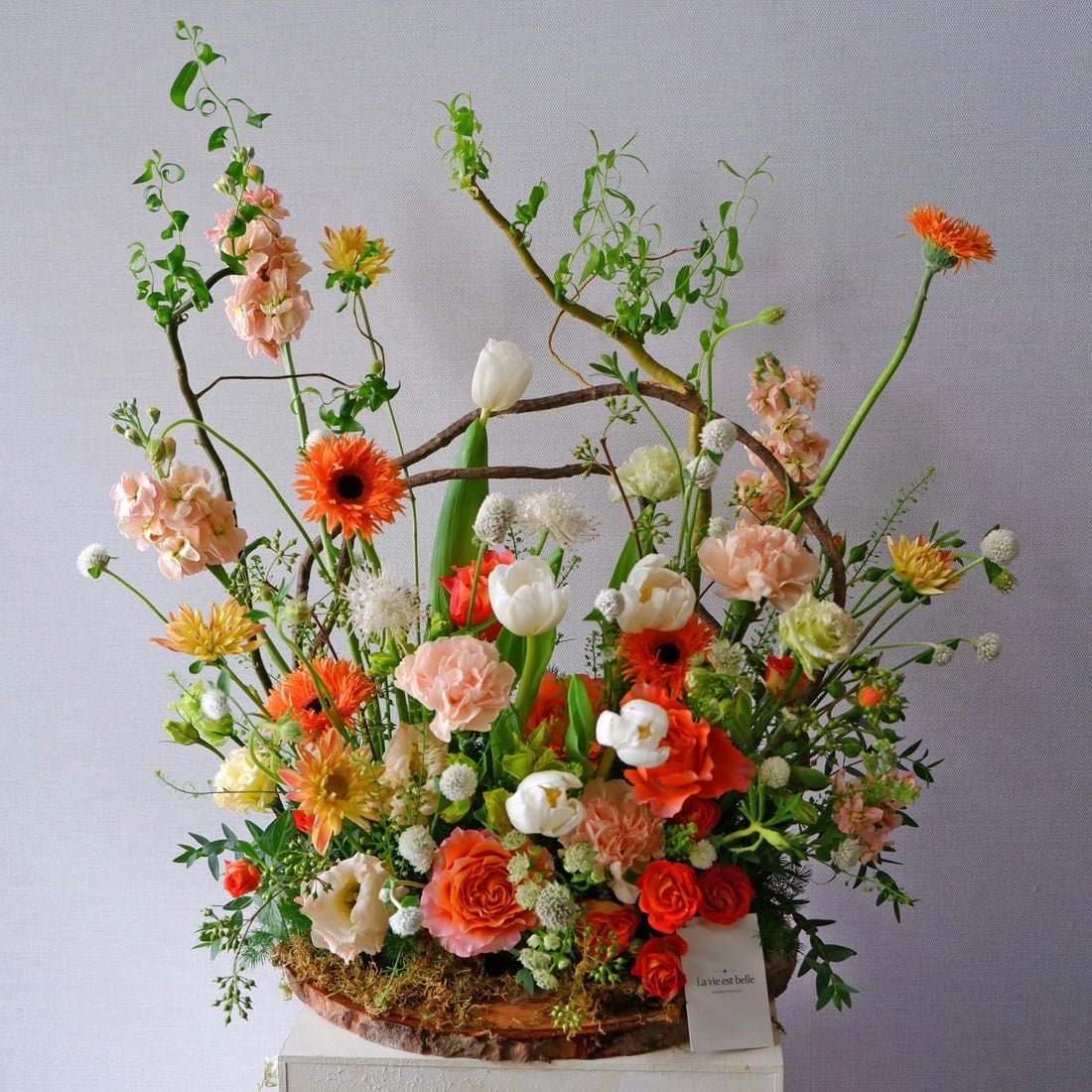 Flora Fantasy