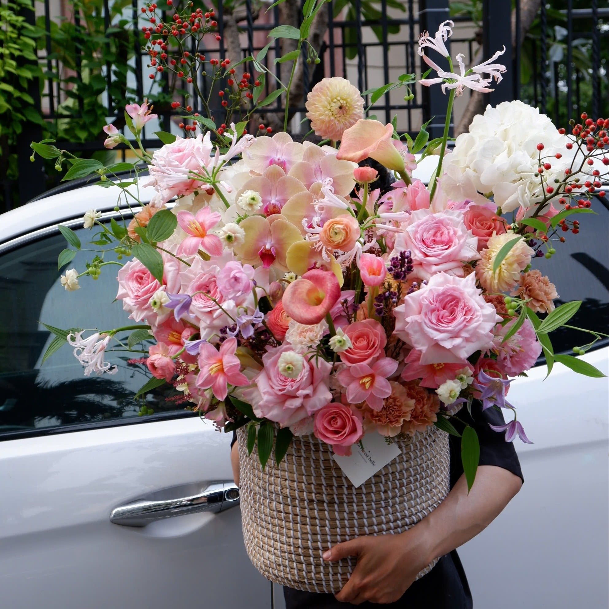 Blush Petals