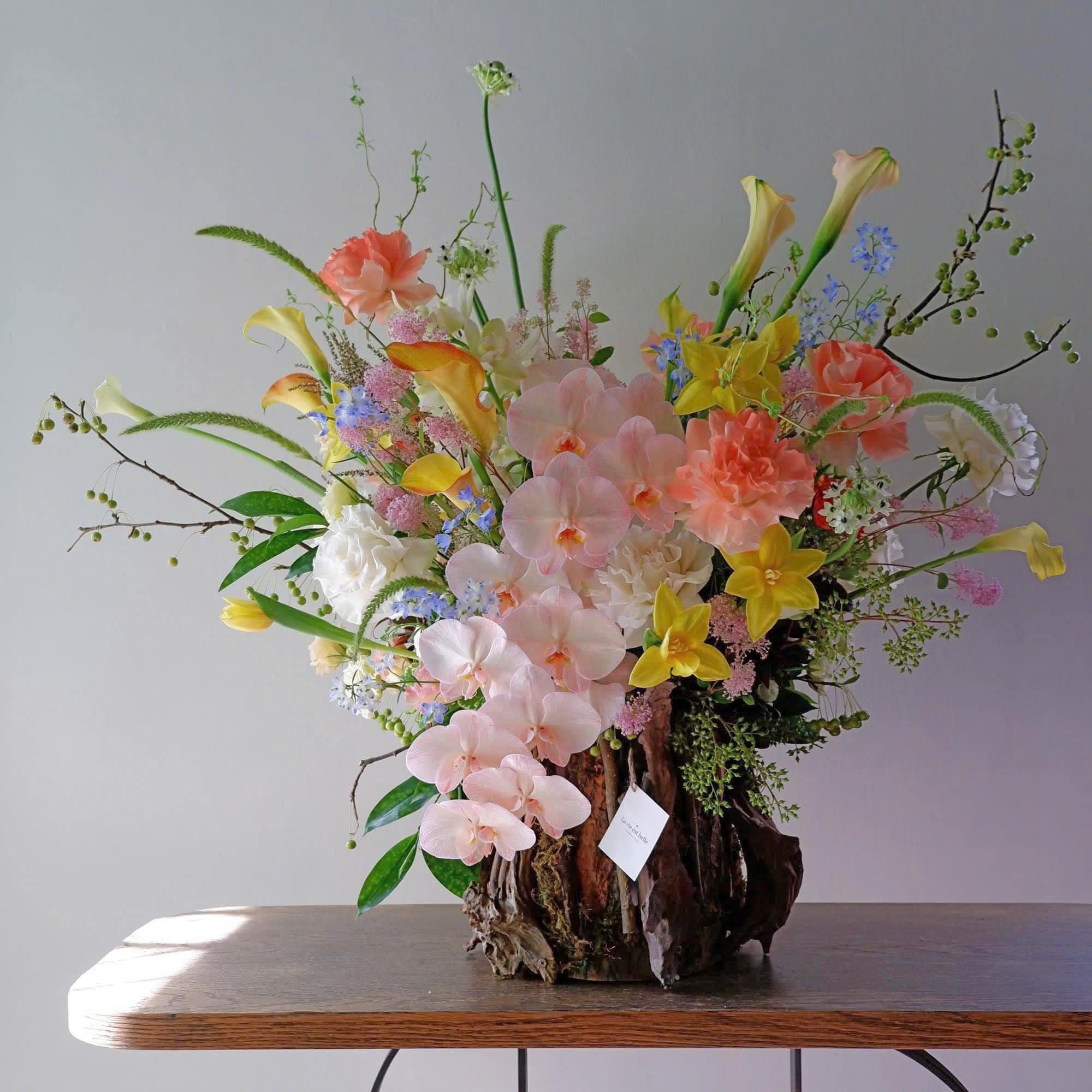 Blushing Blooms