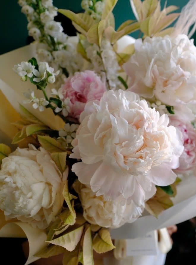 Cloud of Peonies