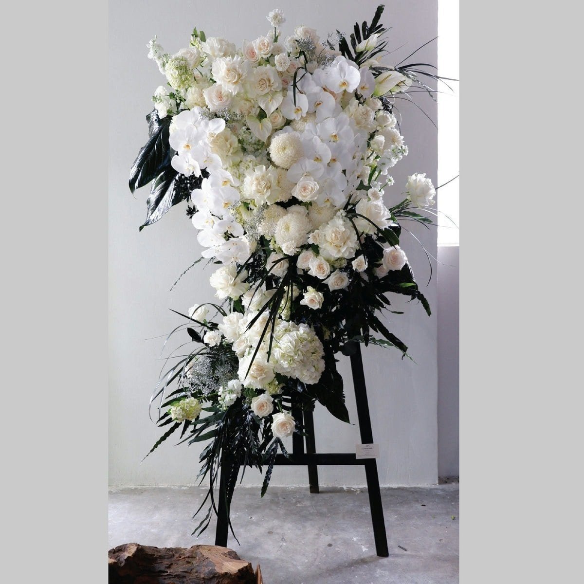 Unforgettable Bloom