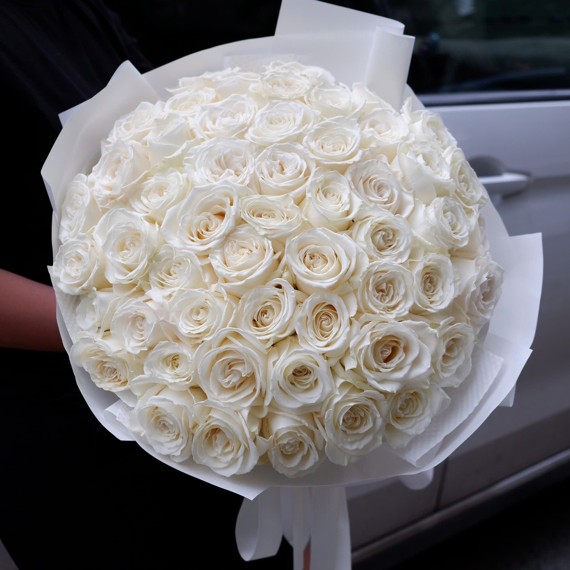 Tender Rose