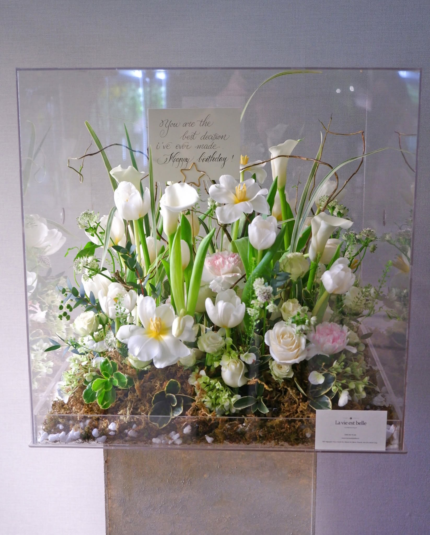 Fleur de Pénombre