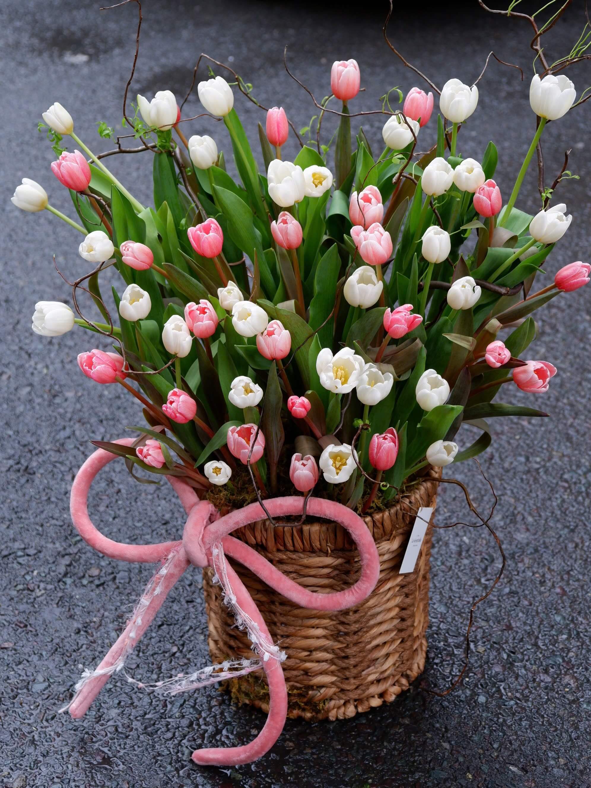 Fleur de Velours