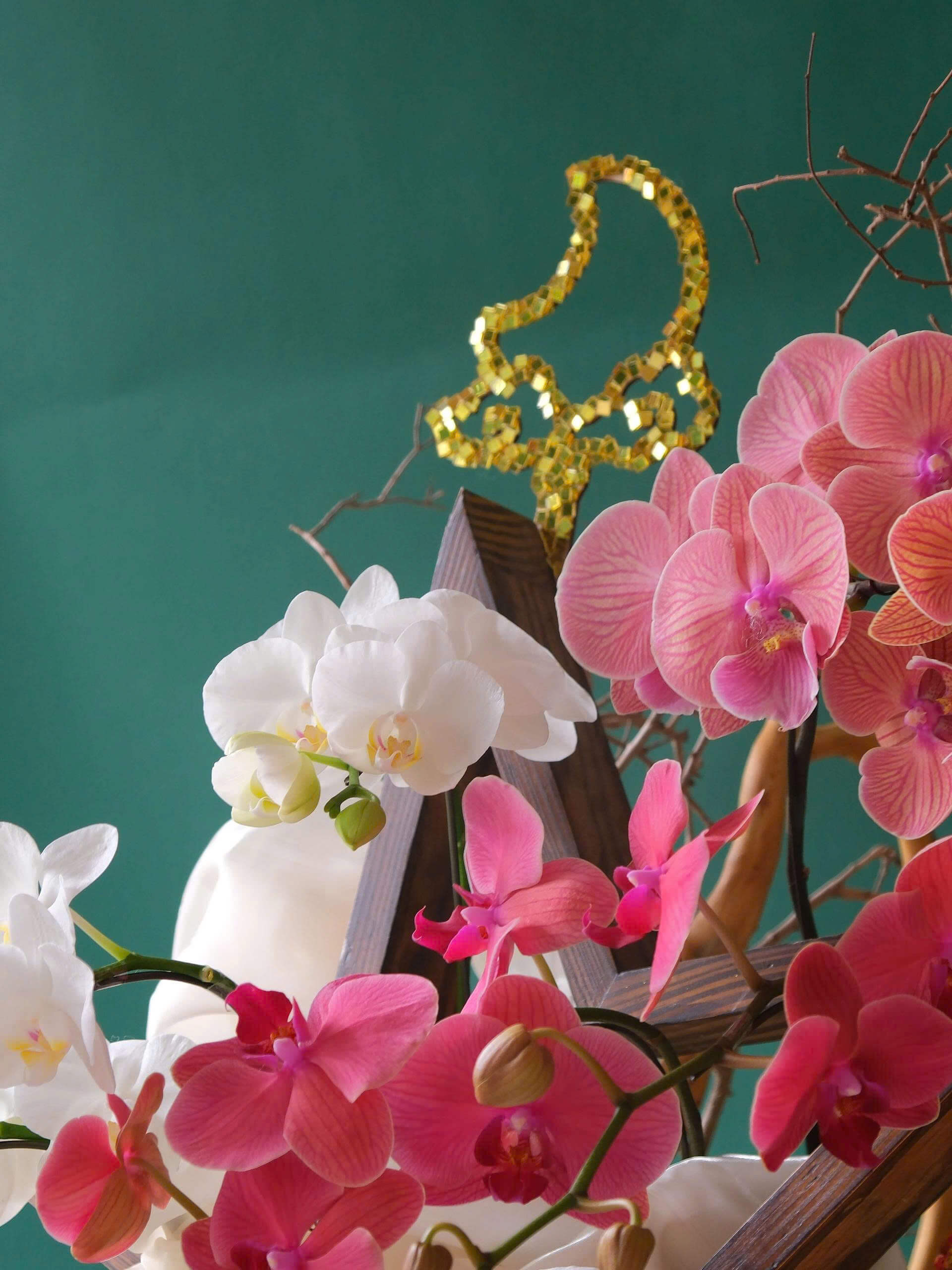 Lunar Bloom