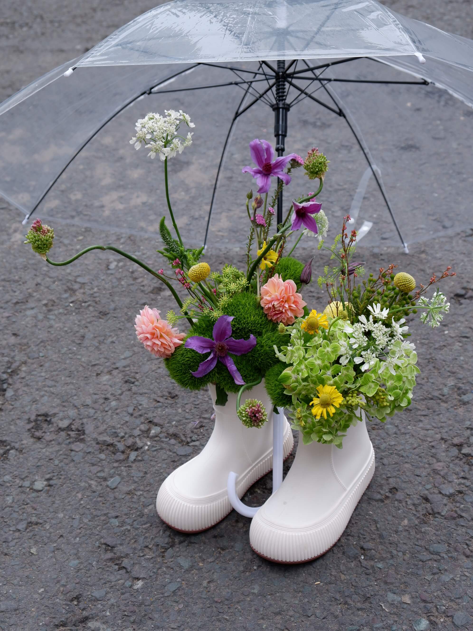 Brolly Flora
