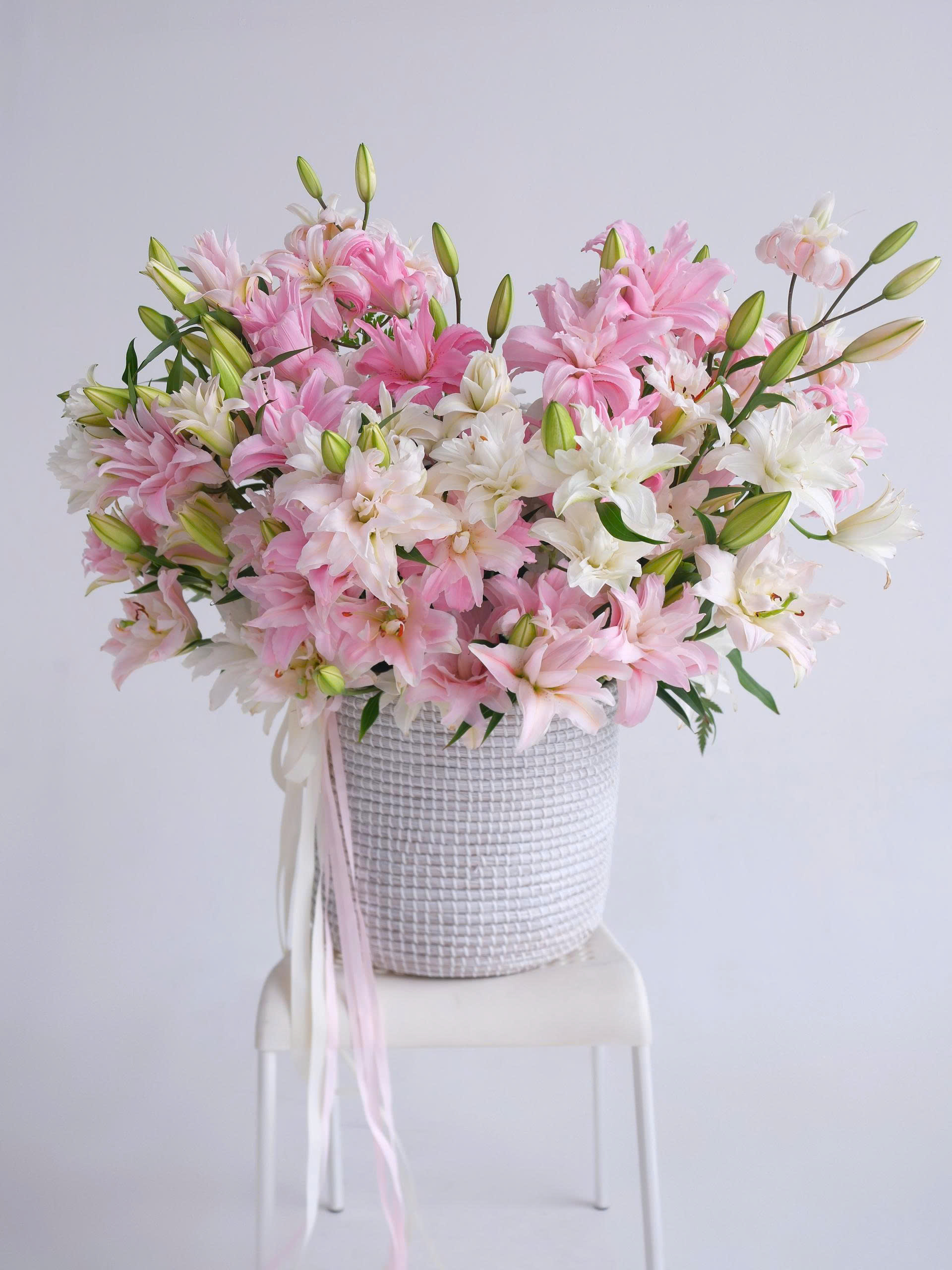Lilium Royale