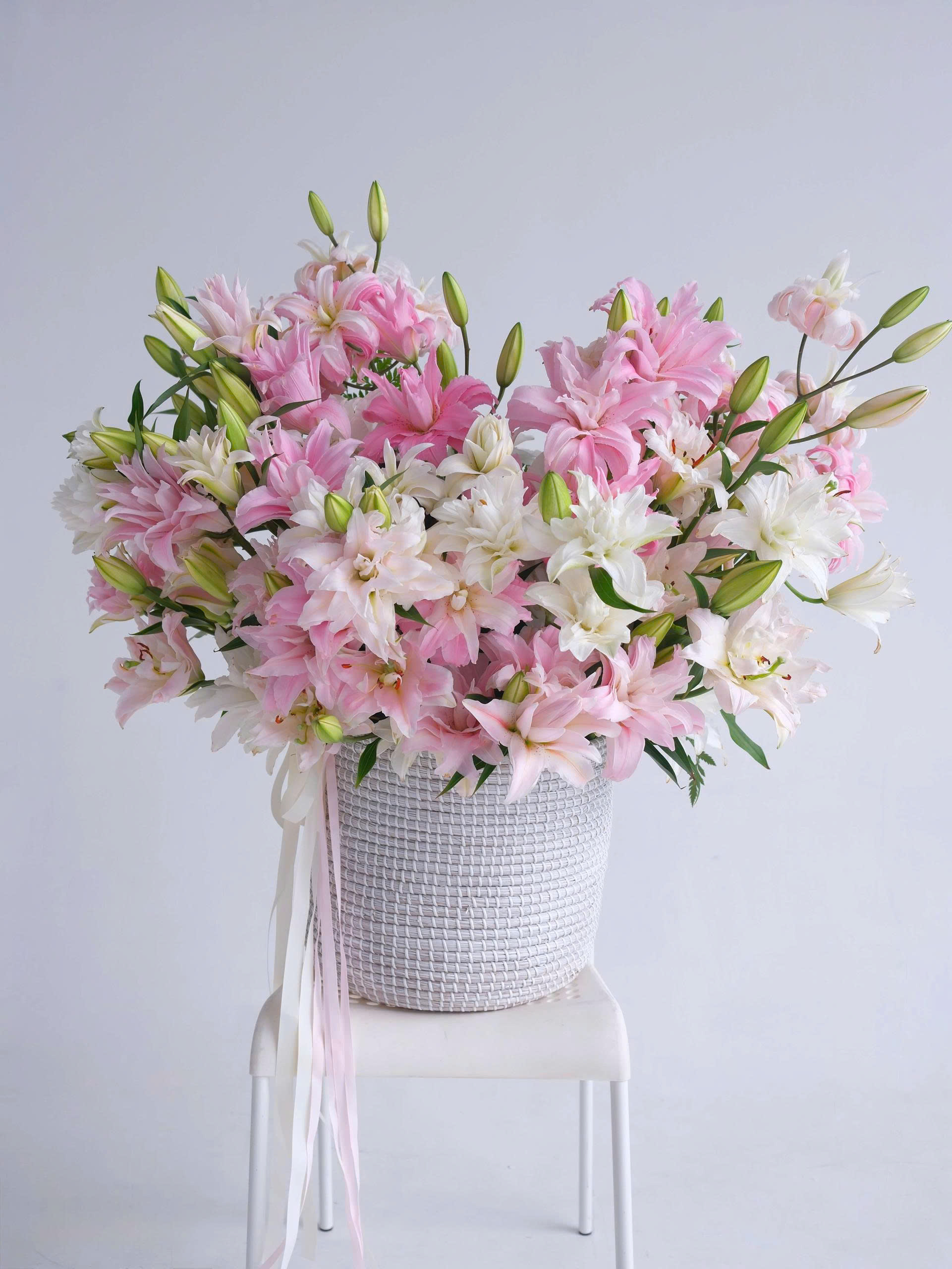 Lilium Royale