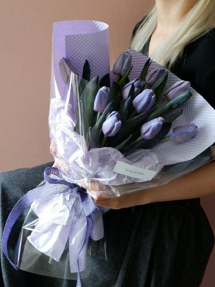Purple Tulip