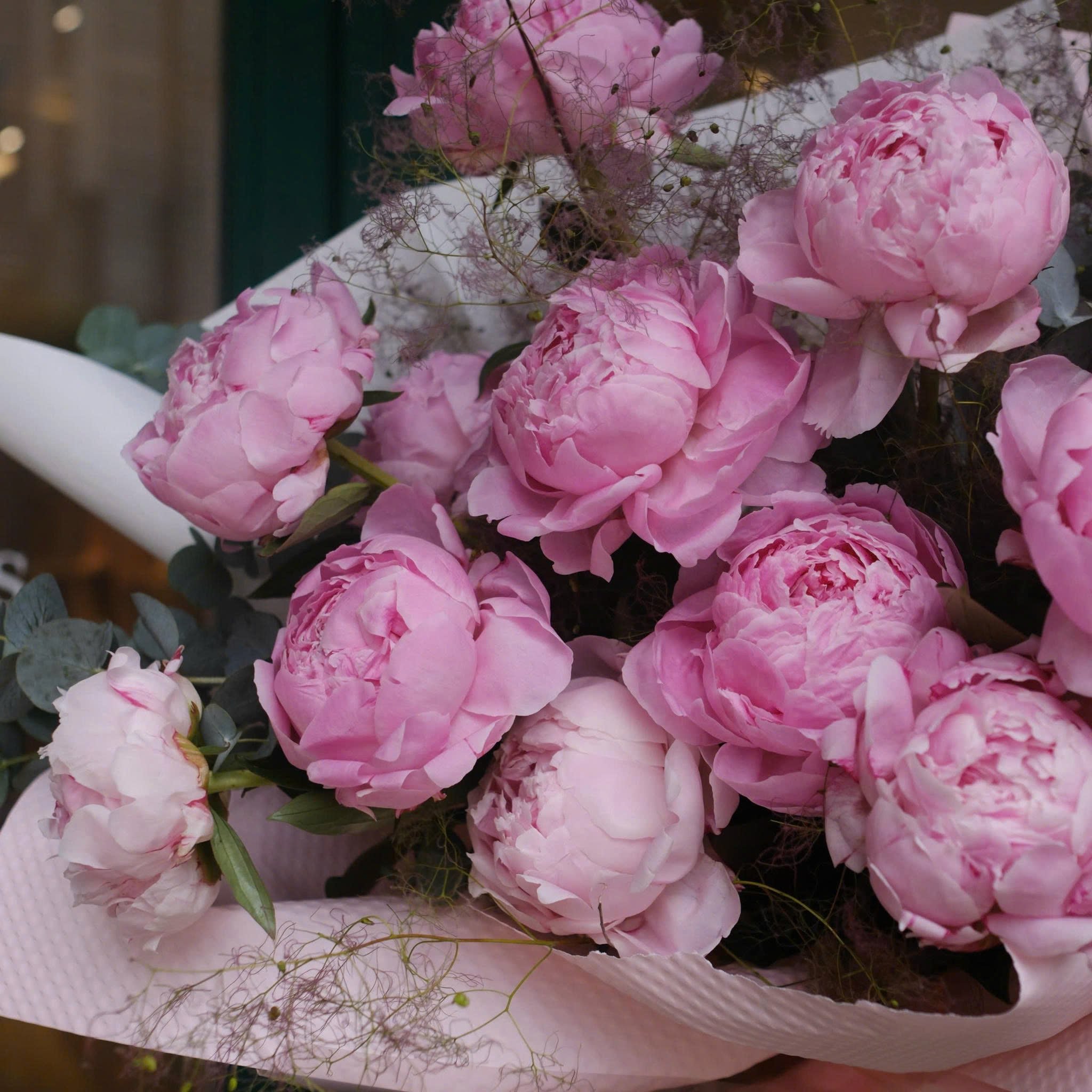 Lovely Petals