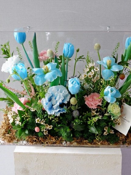 Flowerful Dreams