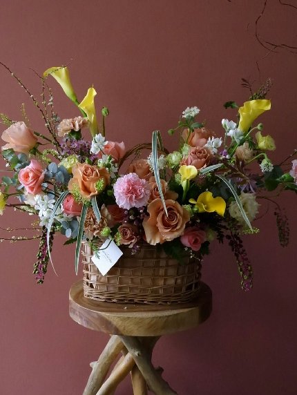 Chic Display