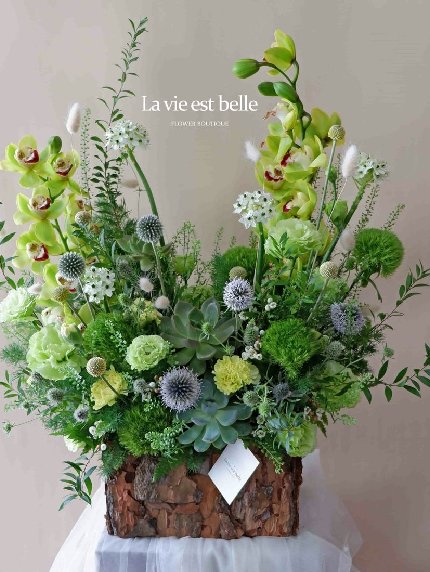 Green Garden