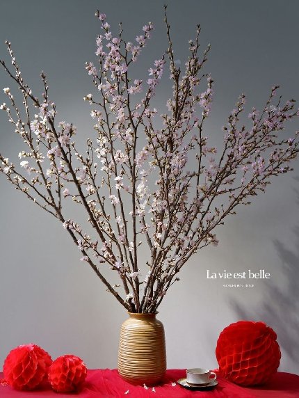 Anh Đào Sakura