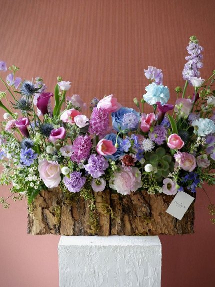 Enchanting Petals