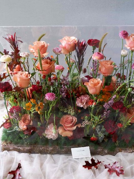 The Bloom Room