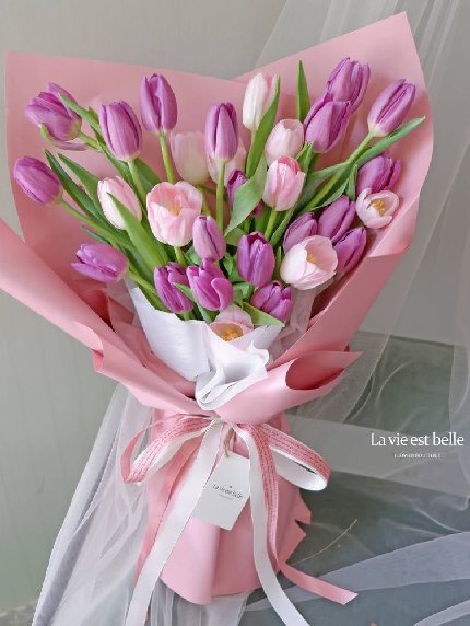 Colorful tulip