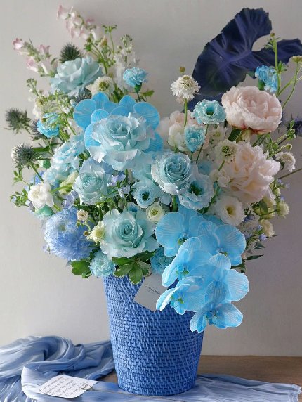 Aqua Melody