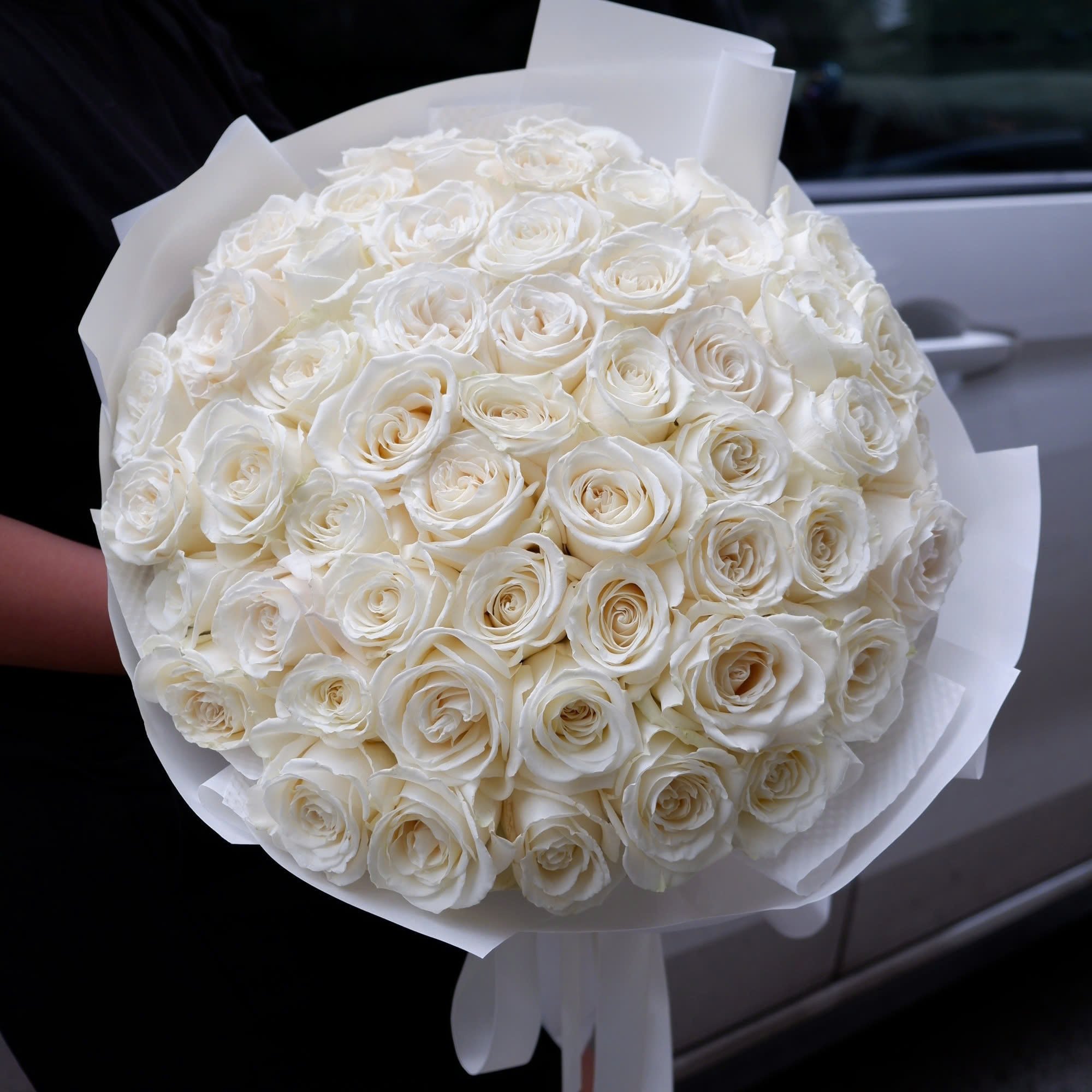 Tender Rose