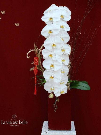 Hoàng Vũ