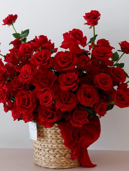Crimson Bloom