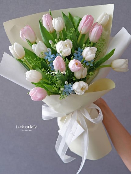 Light Pink & White