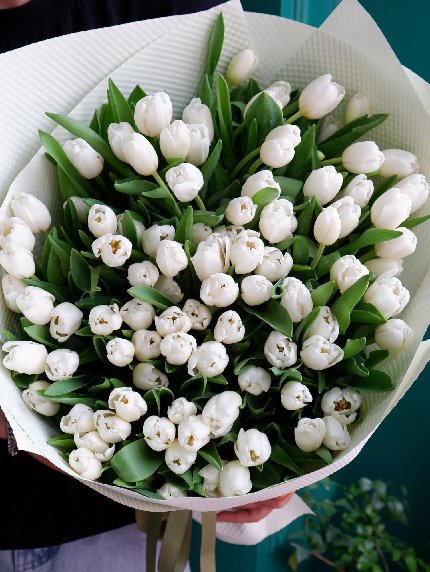 Pearl Bloom