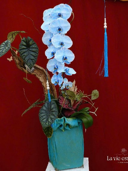Diễm Ngự