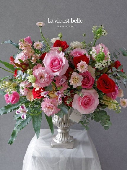 Pink Spring