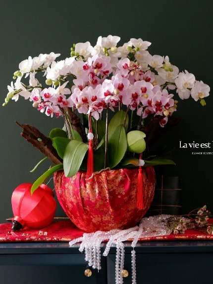 Đại Cát