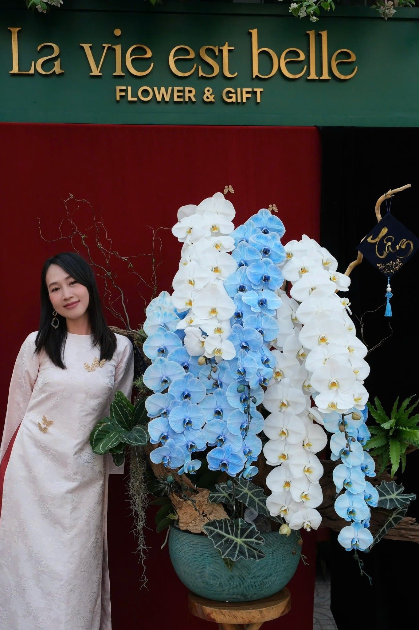 Vương Sắc Hoàng Lan