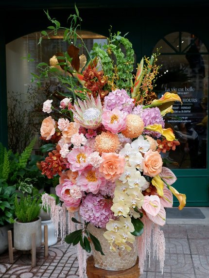 Festive Flora