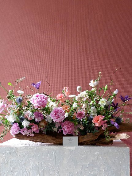 Geometric Garden