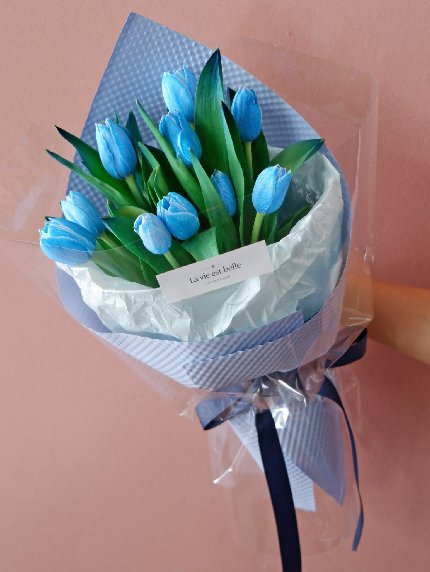 Blue Ocean Tulip
