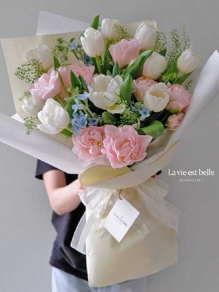 Pastel Tulip