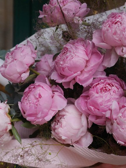 Lovely Petals