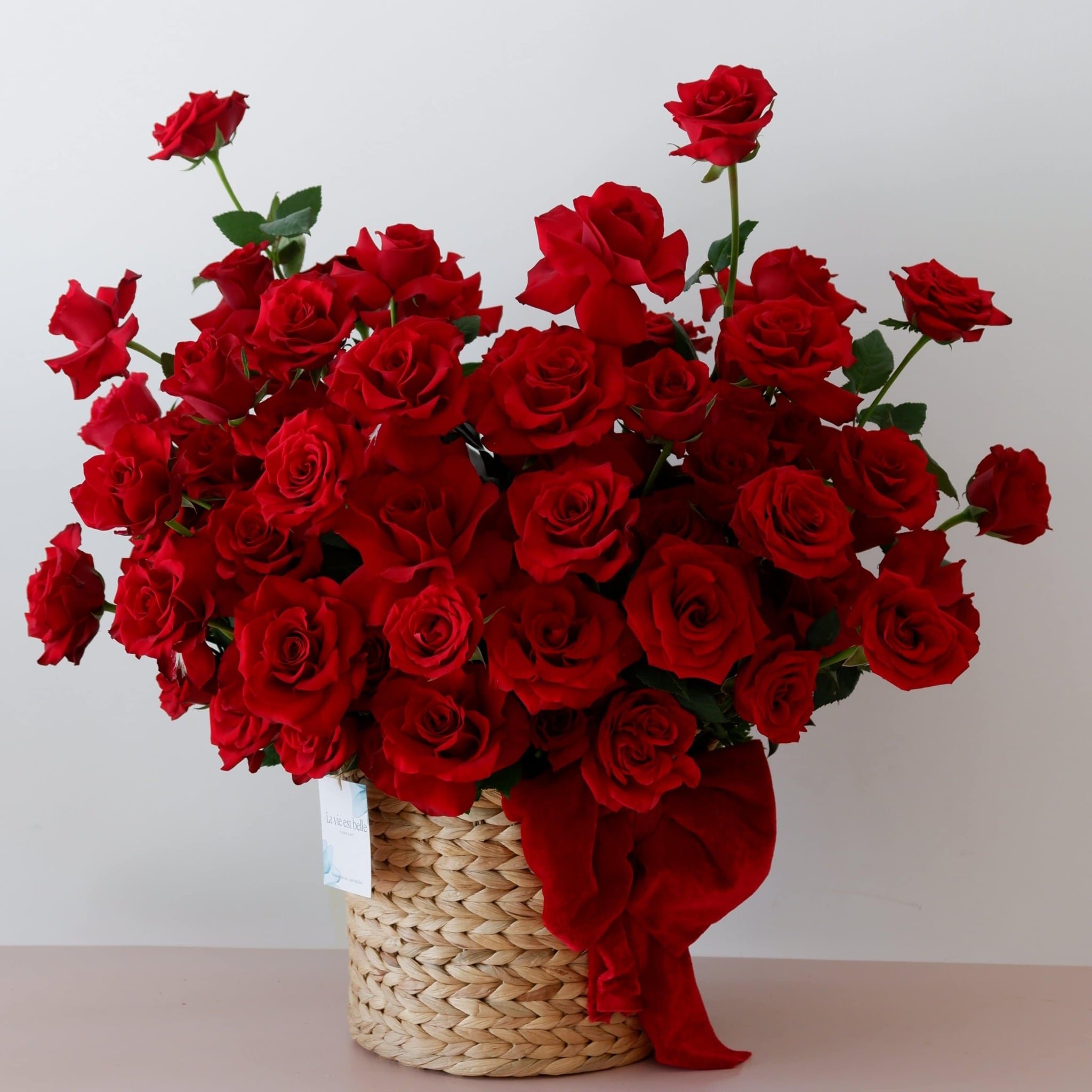 Crimson Bloom