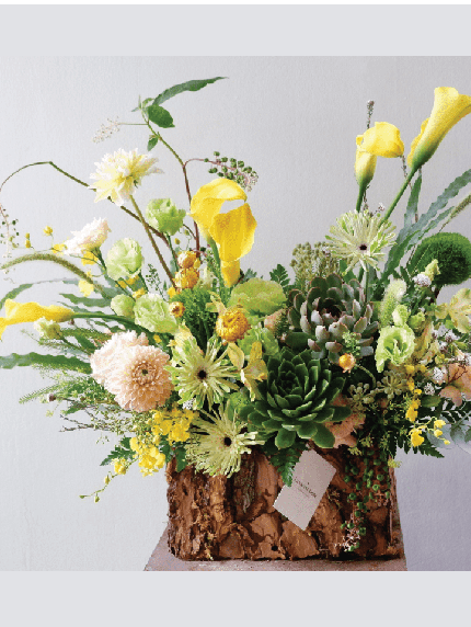 Botanica Delights