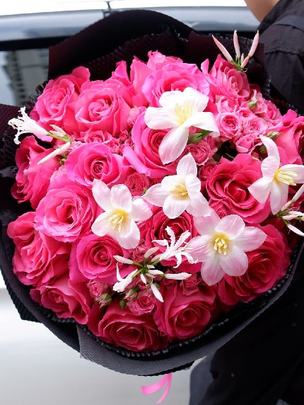 Pure Blossom