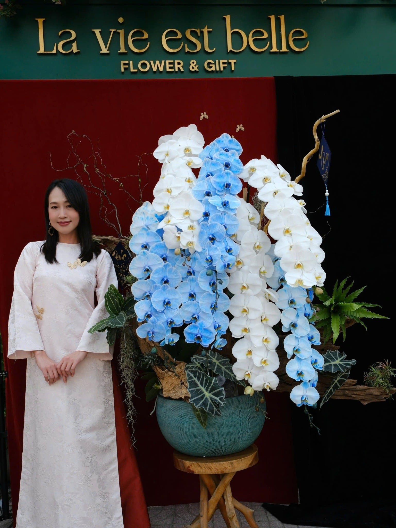 Vương Sắc Hoàng Lan
