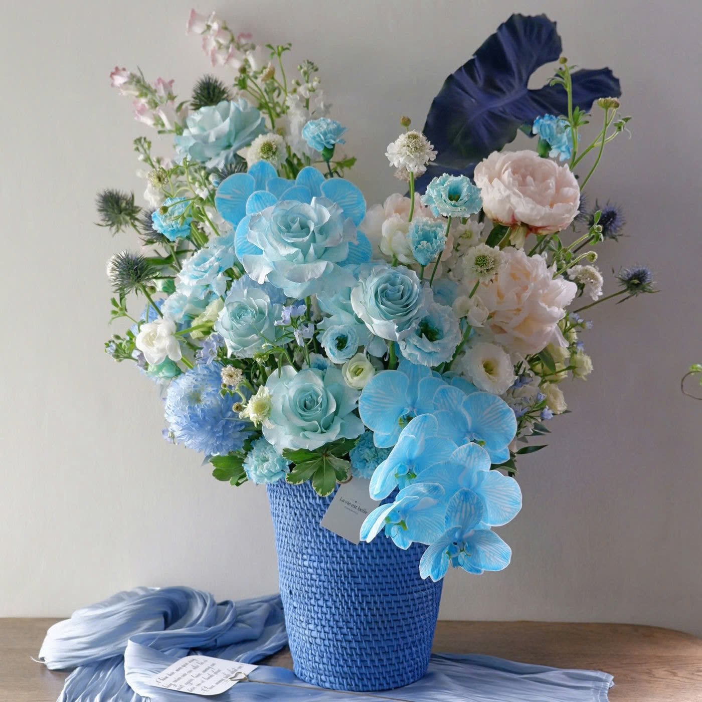 Aqua Melody