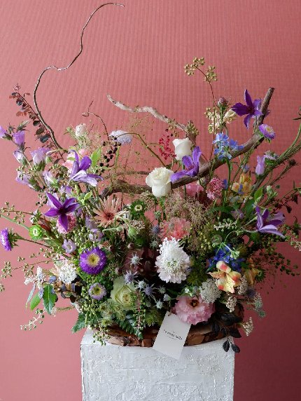 flowers frolic