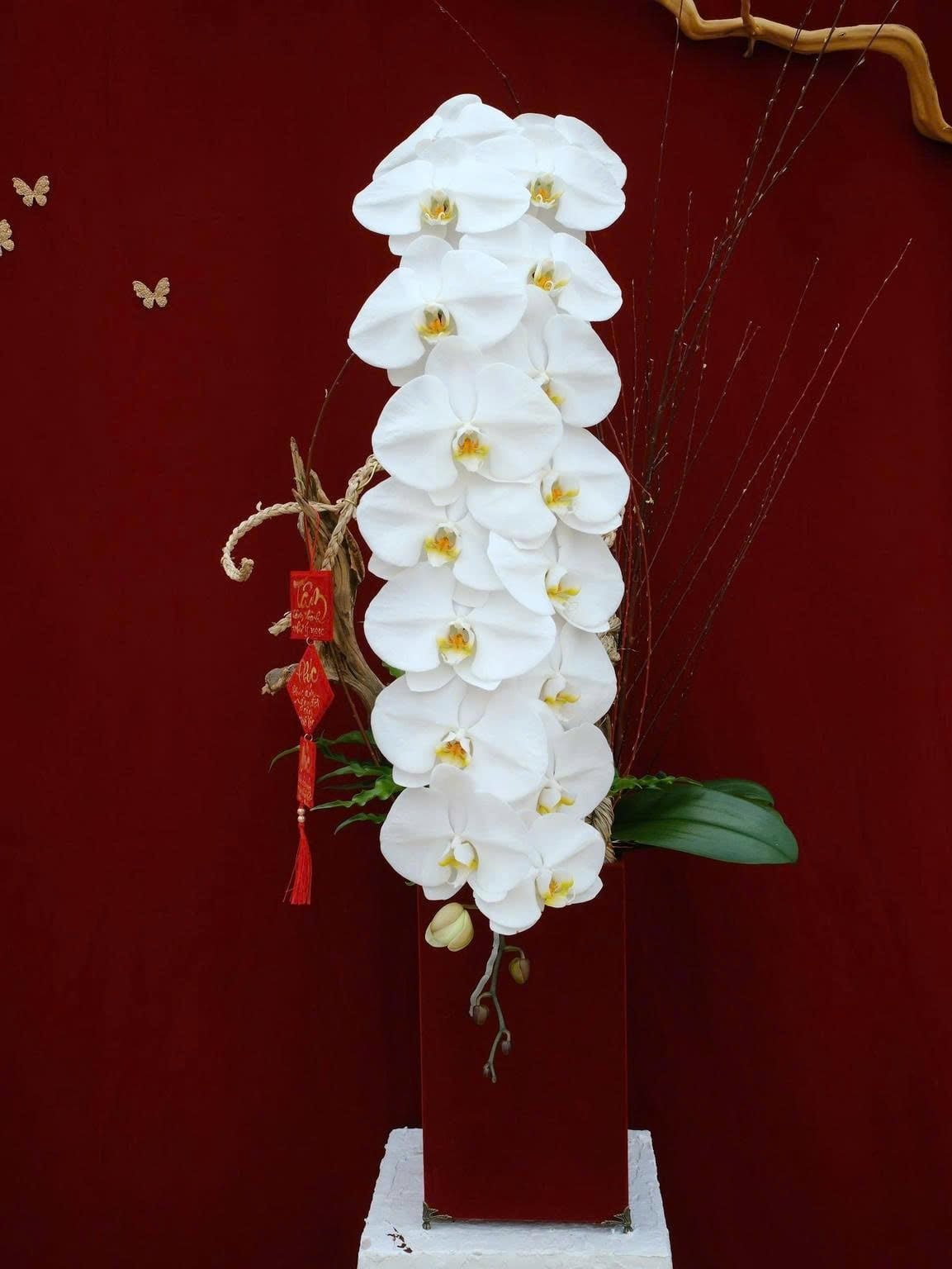Hoàng Vũ
