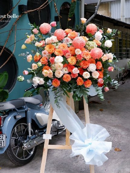 Beautiful Orange