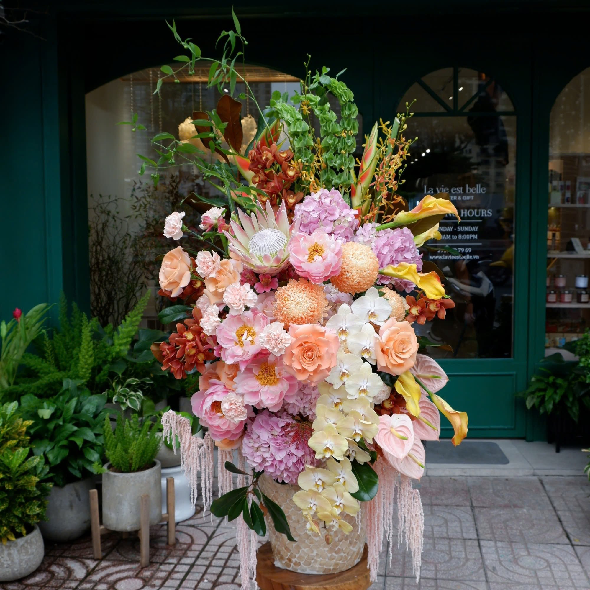 Festive Flora