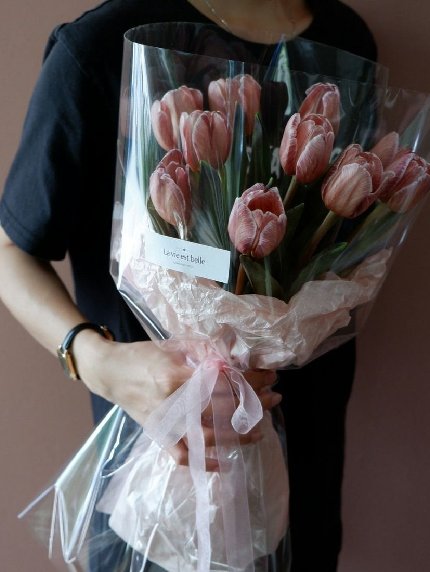 Sweet Brown Tulip