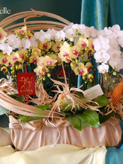 Xuân Phúc Tràn Đầy
