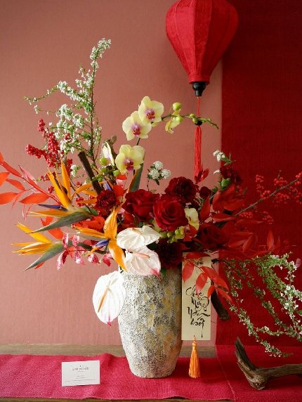Hoa Đua Nở